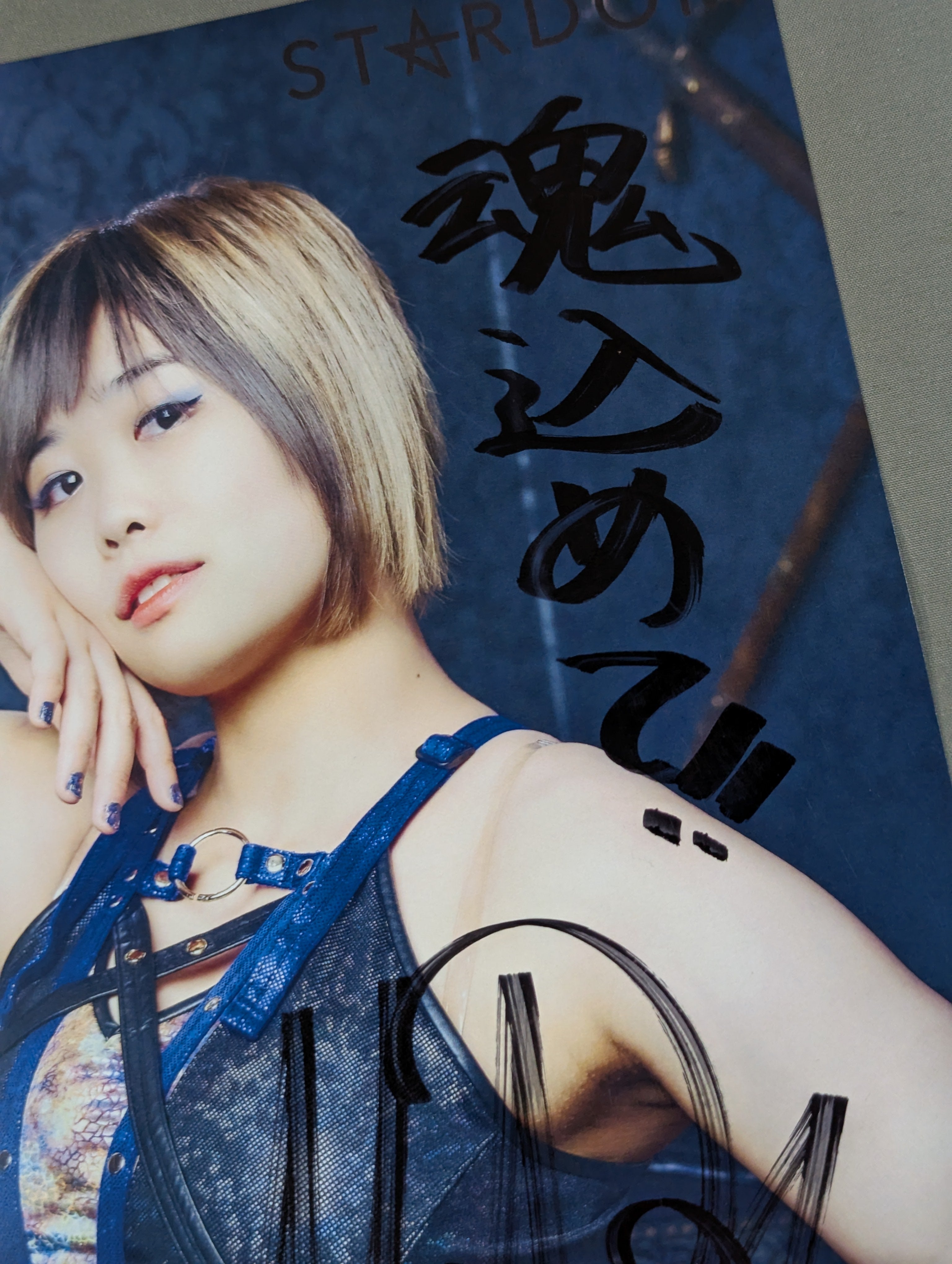 d*9様 ジュダ ディアヴォ 直筆サイン入りポスター ブロマイド MIRAI 直筆サイン入り スターダムポートレート(D-9) – 闘道館