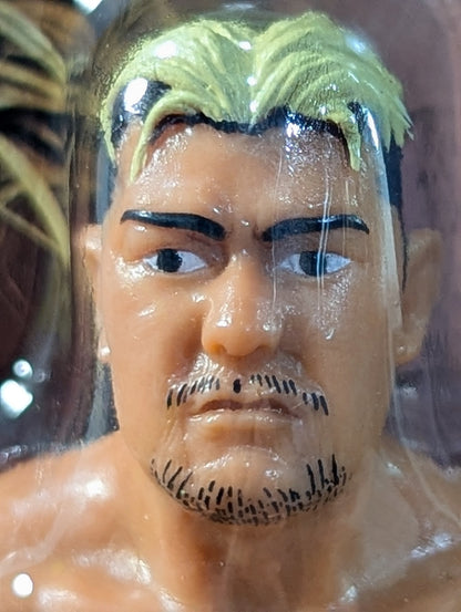 Takao Omori  (Fighting Pose)