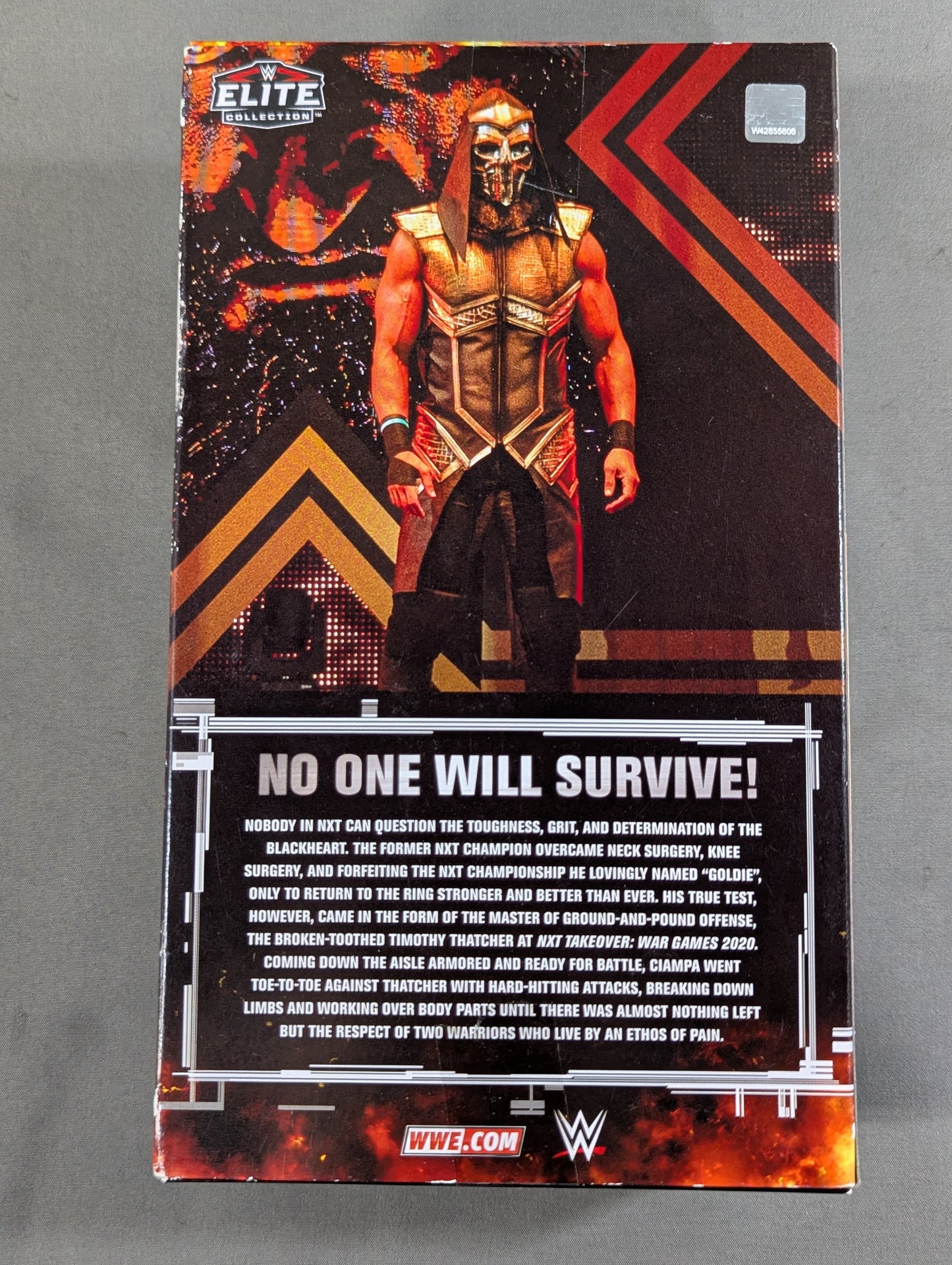 ★RINGSIDE EXCLUSIVE★ Tommaso Ciampa (Skull Mask & Hood)