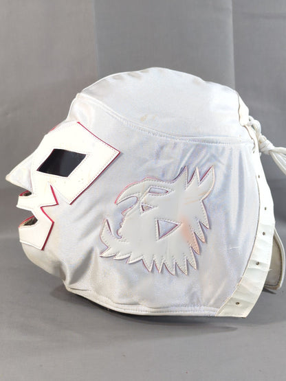 Dr. Wagner  Jr.