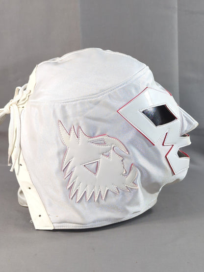 Dr. Wagner  Jr.