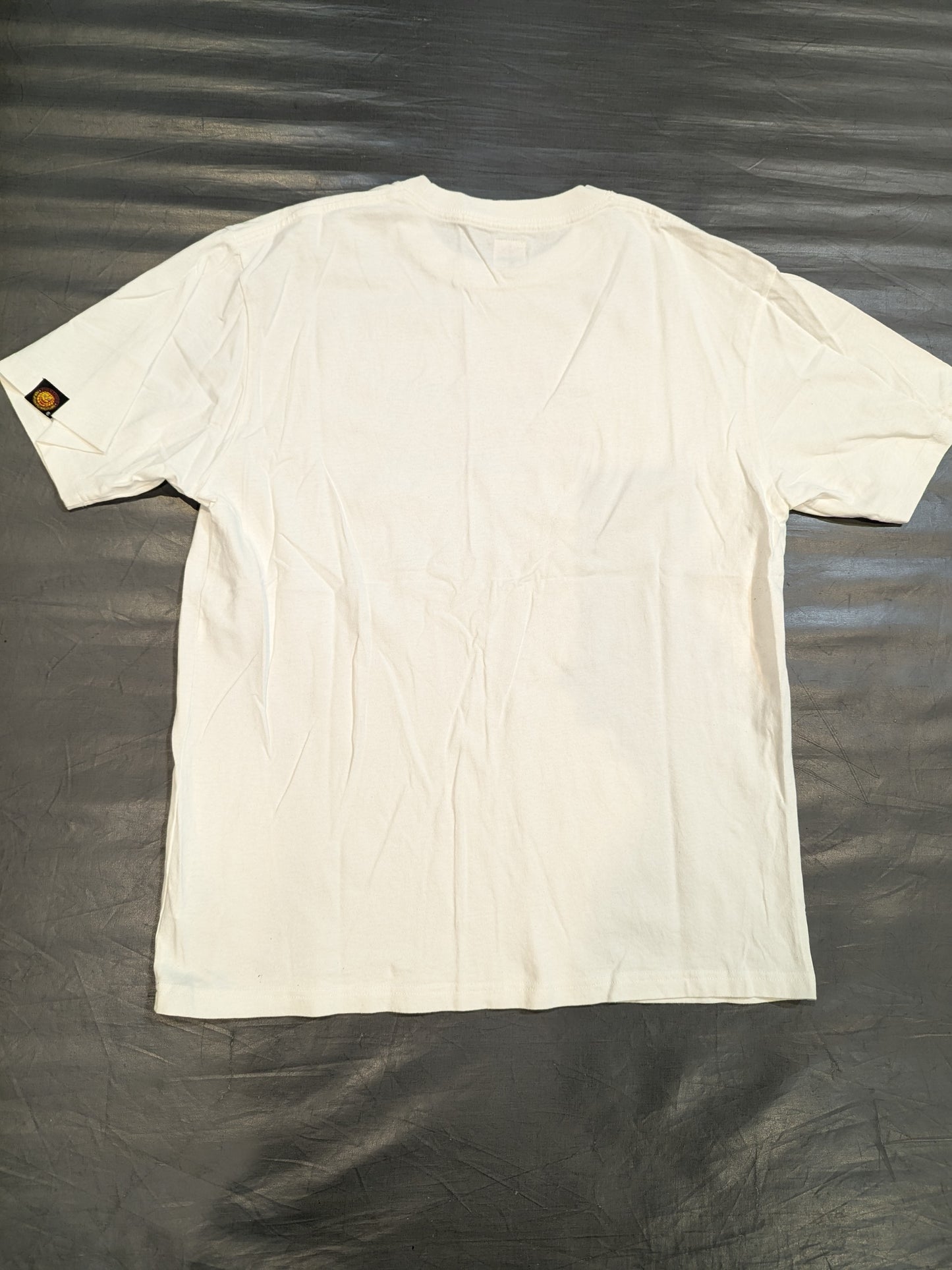 棚橋弘至×EDWIN「ボックスロゴ」Tシャツ