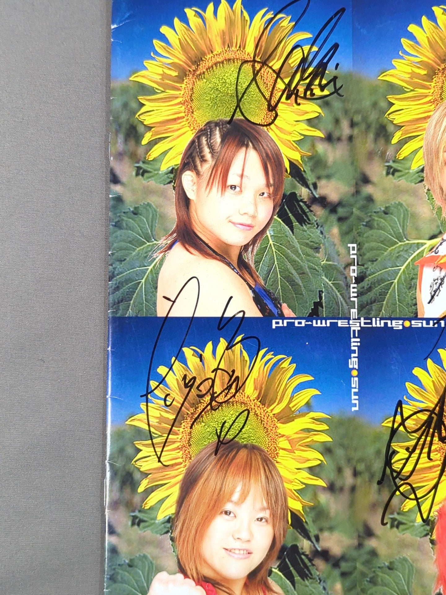[5 fighters hand signed autograph 】PRO-Wrestling SUN Official Pamphlet