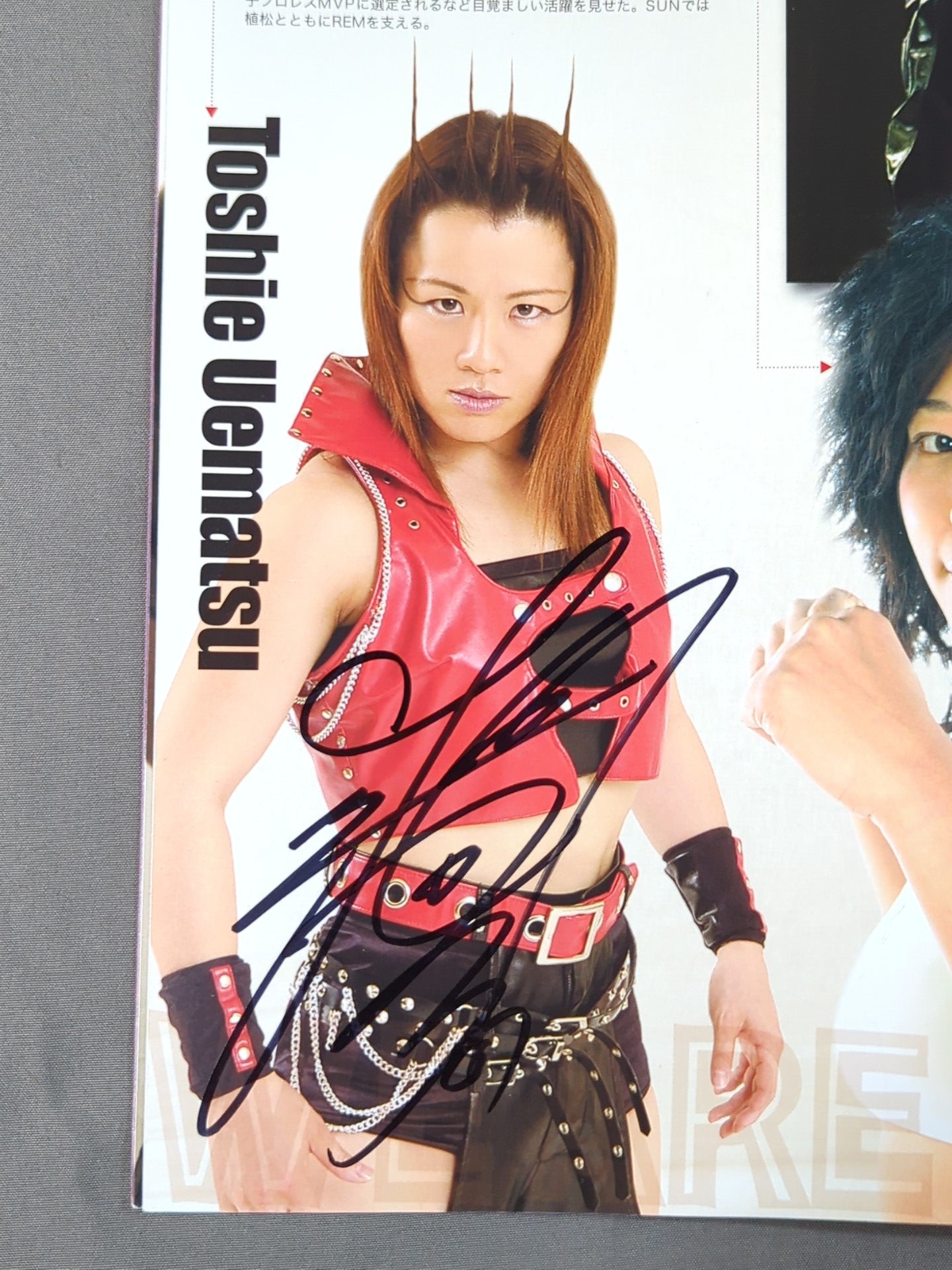 [5 fighters hand signed autograph 】PRO-Wrestling SUN Official Pamphlet