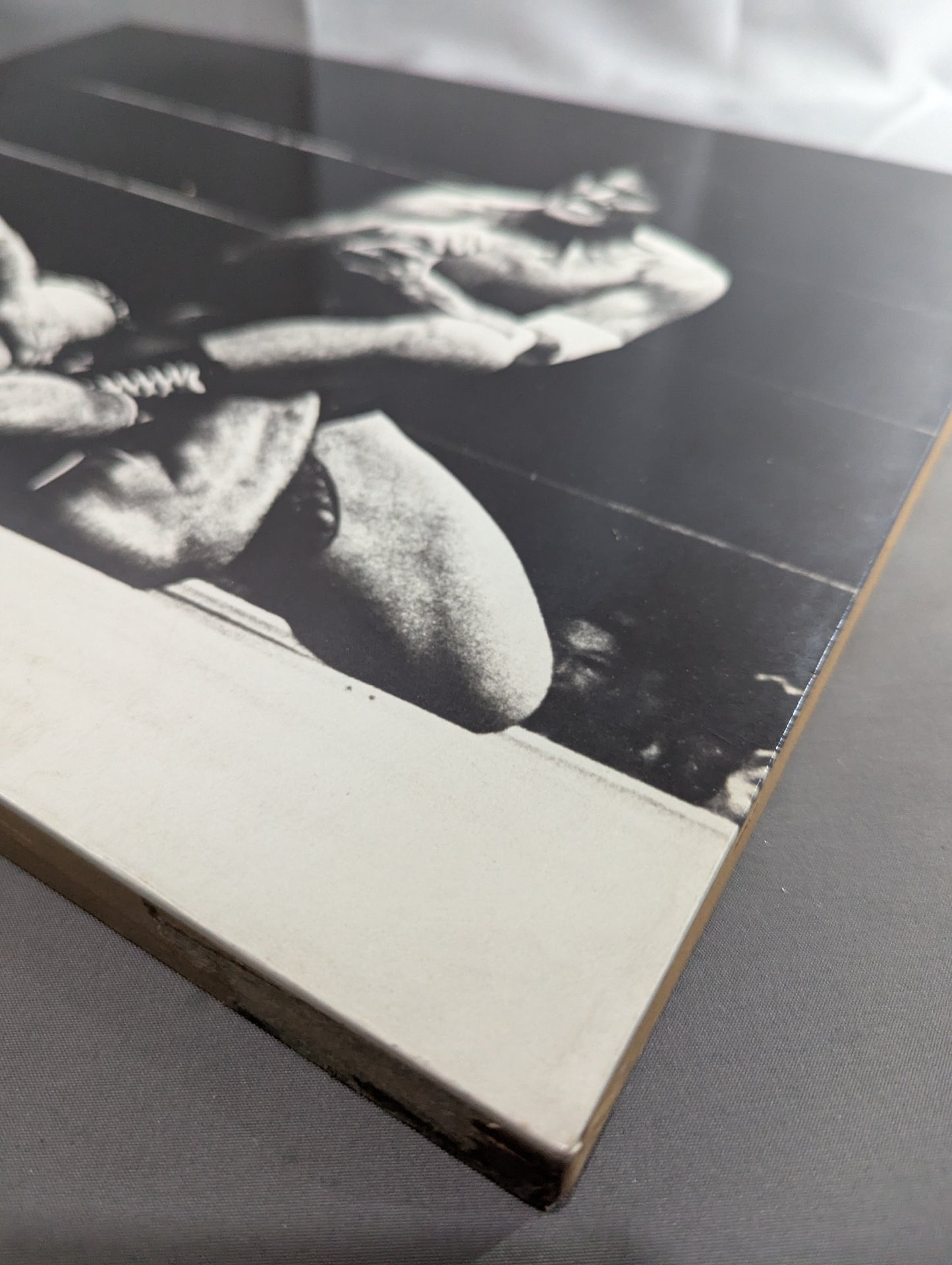 Antonio Inoki vs Tiger Jeet Singh Wooden Photo Panel