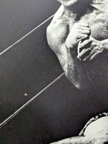 Antonio Inoki vs Tiger Jeet Singh Wooden Photo Panel