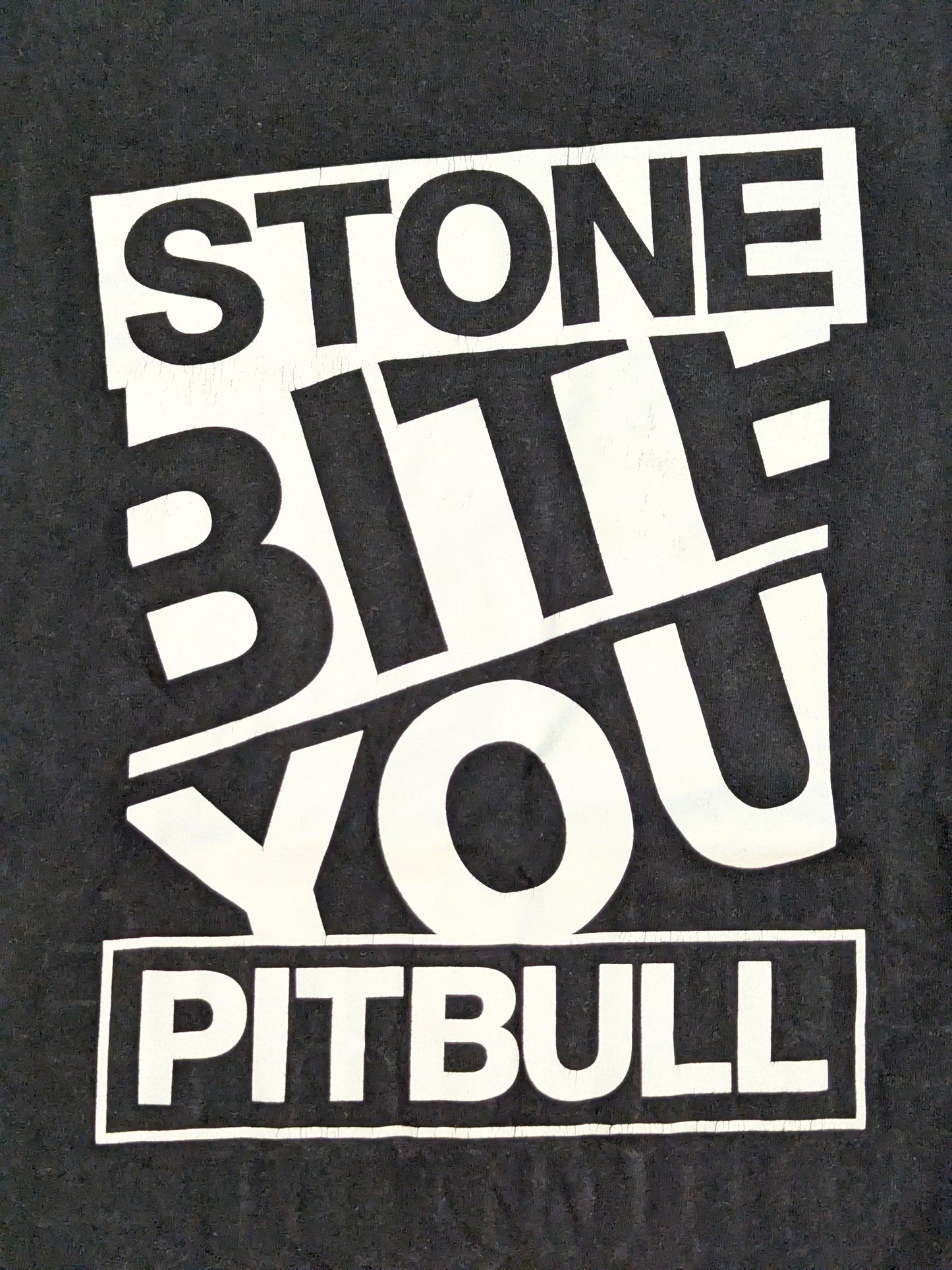 石井智宏「STONE PITBULL ワード」Tシャツ