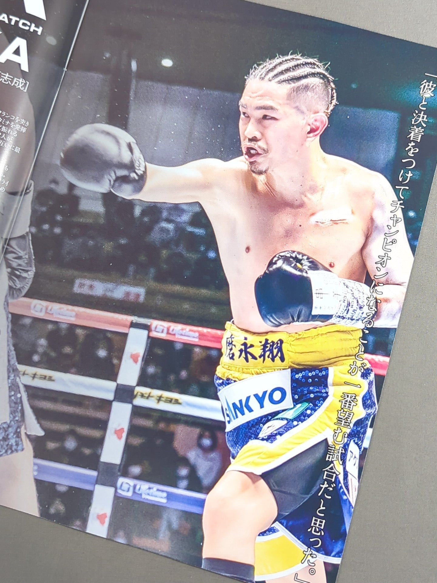 LIFETIME BOXING FIGHTS 15 – 闘道館