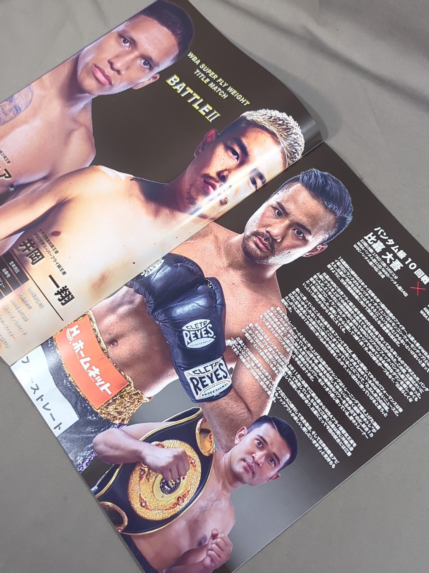 LIFETIME BOXING FIGHTS 15 – 闘道館