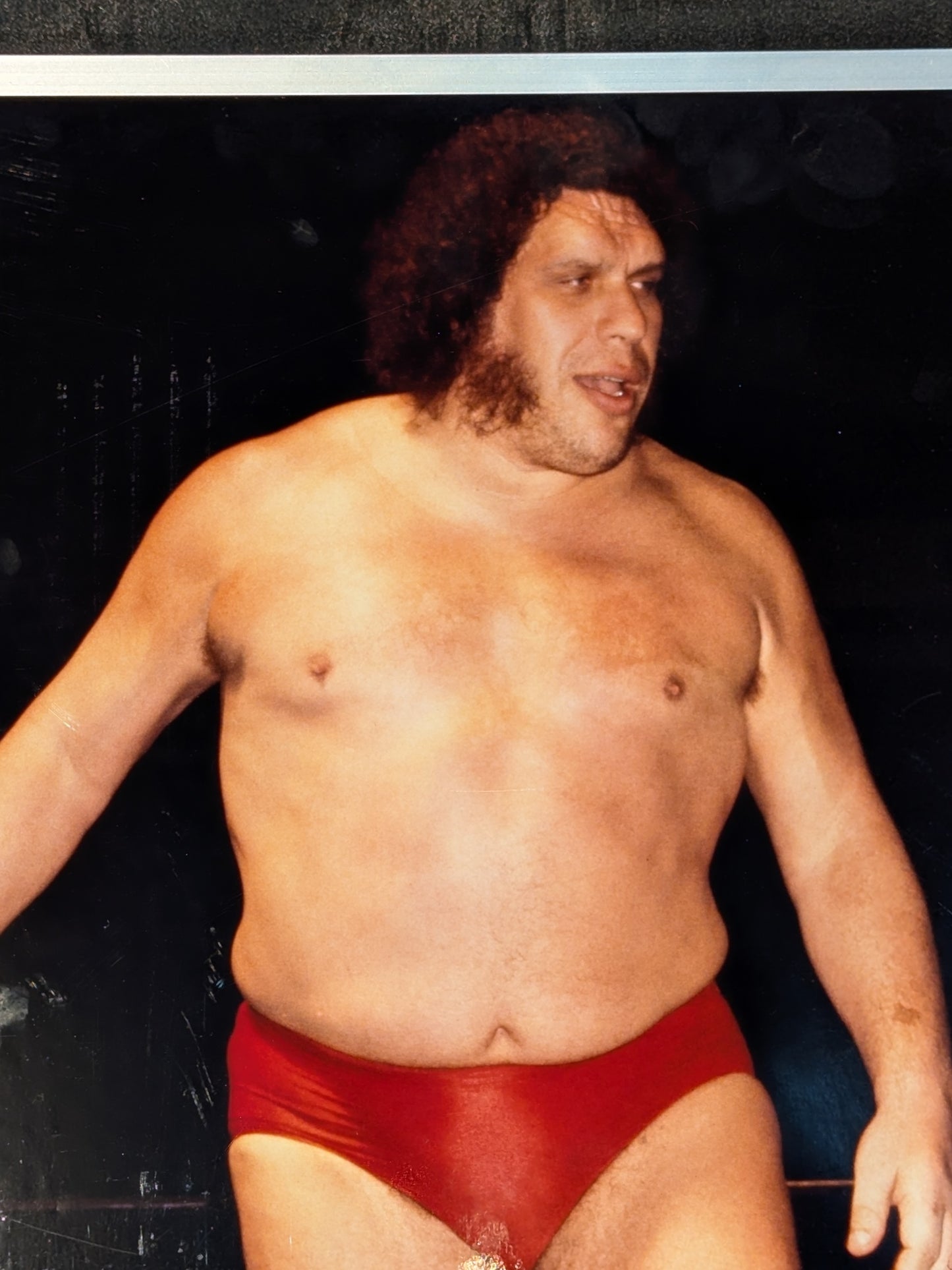 Andre the Giant Signature with Both Hands and Feet ★ Shikishi (Autograph board ) Mr. Takahashi's Secret Collection, The Final Set! ★ Sweater worn by him woodblock print & photo panel set
