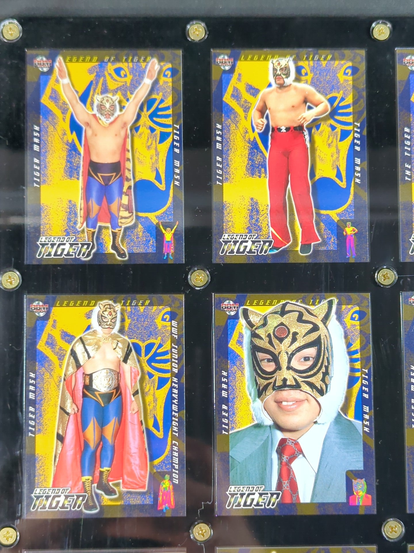 ★ Legendary Tiger ★ 2004 BBM Tiger Mask Commemorative Card Set