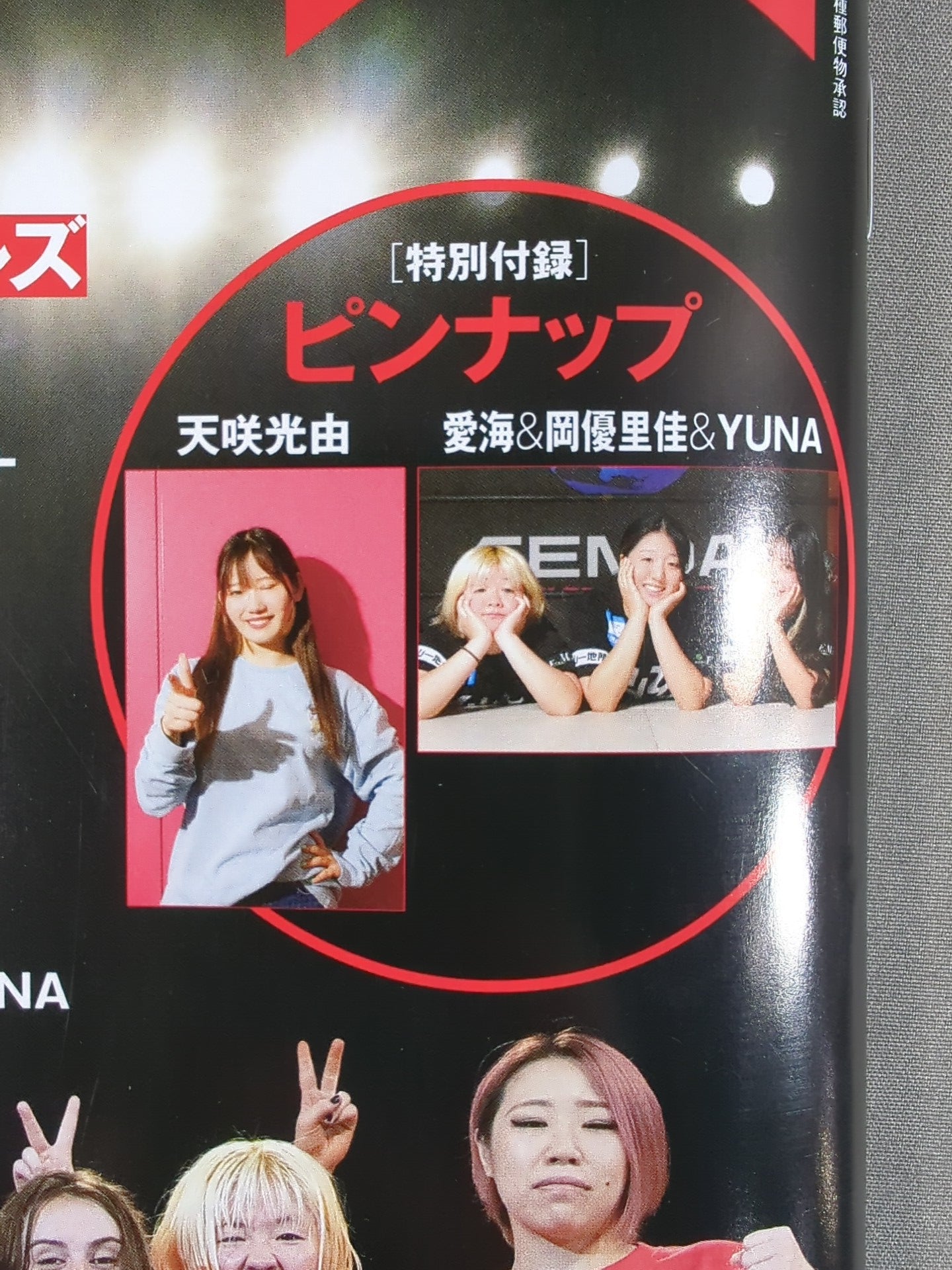 週刊プロレス2419