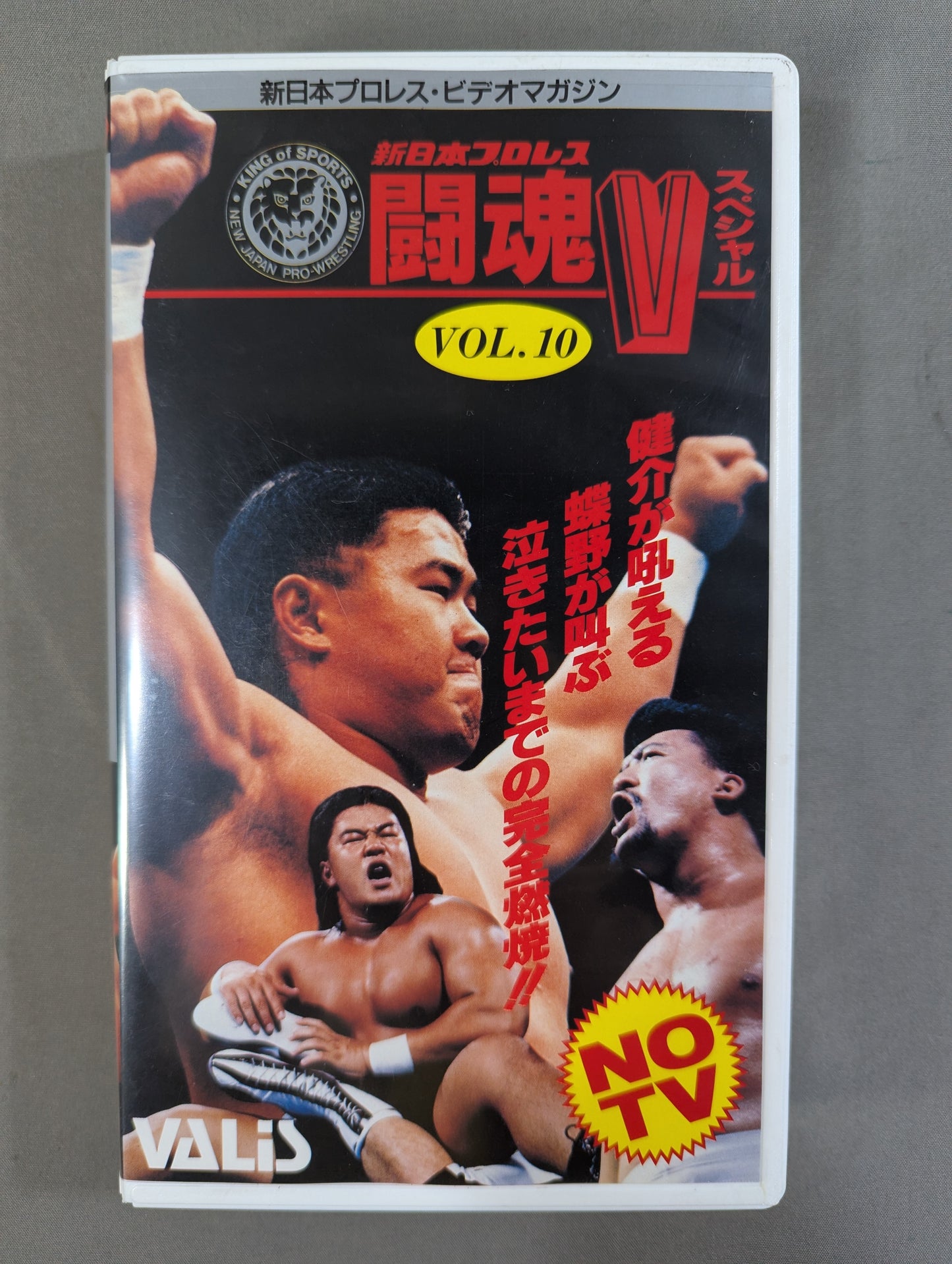 闘魂Vスペシャル Vol.10