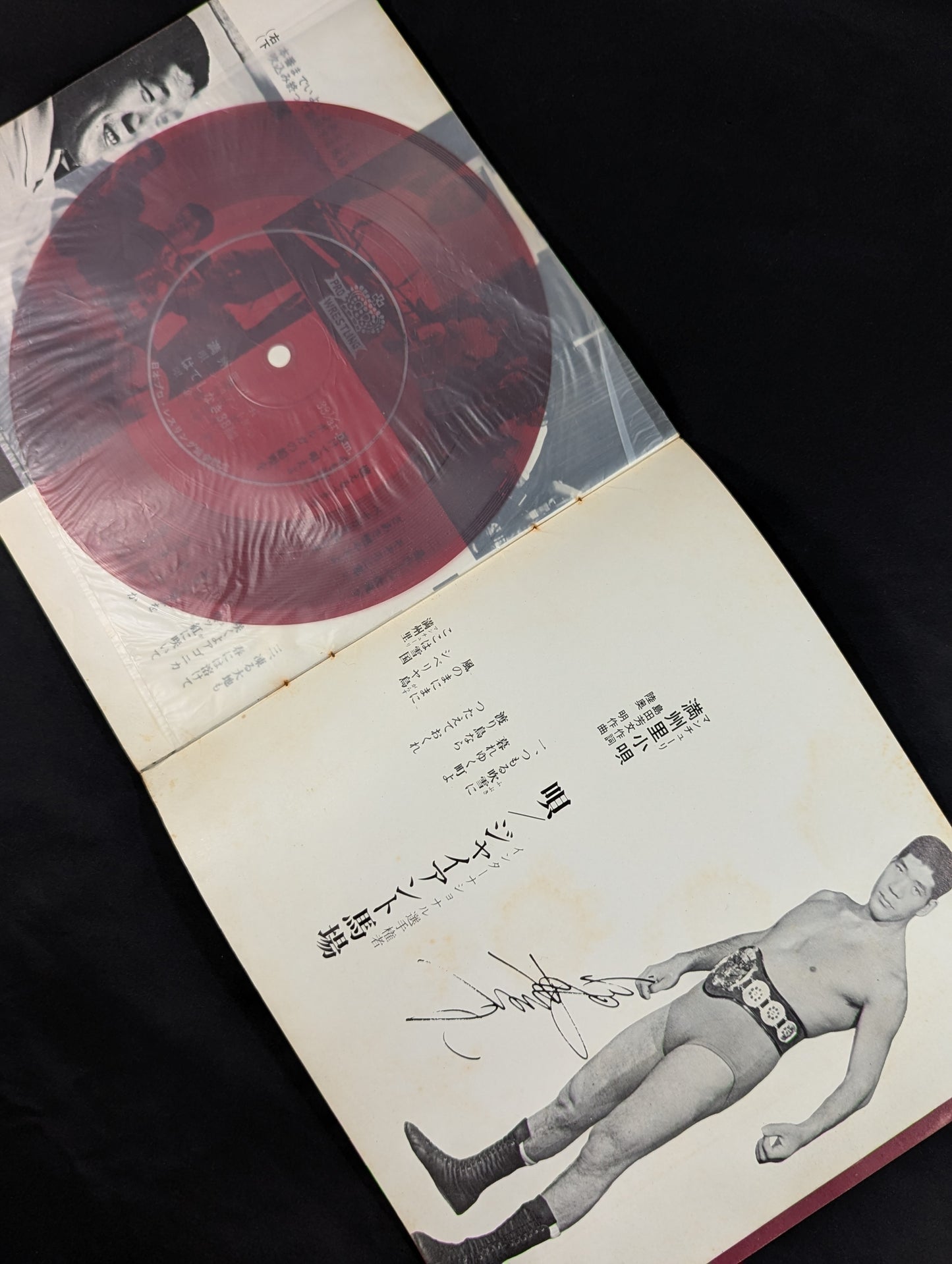 Our Champion Sings ● Japan Pro Wrestling fighters Favorite Songs Collection