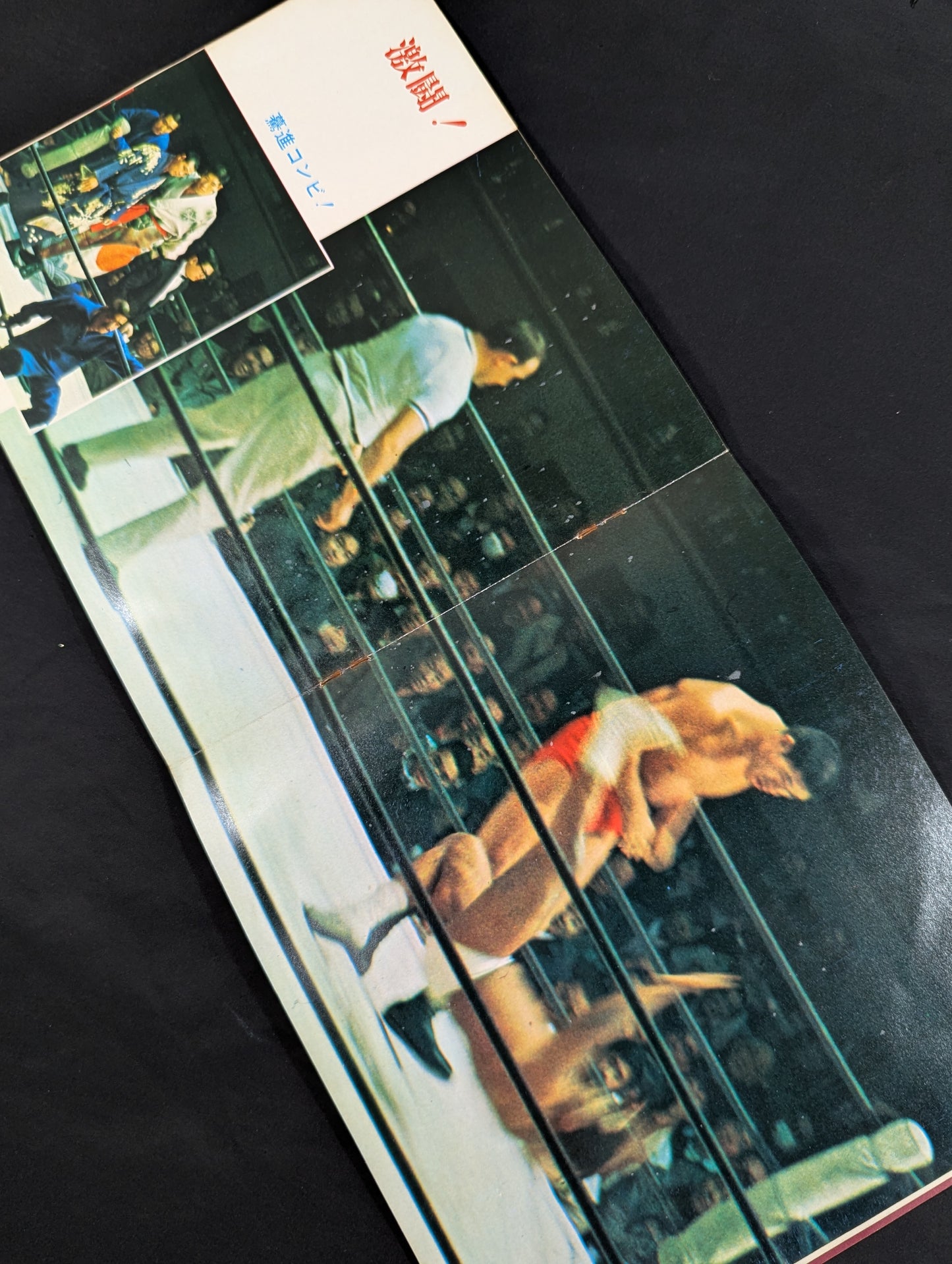 Our Champion Sings ● Japan Pro Wrestling fighters Favorite Songs Collection