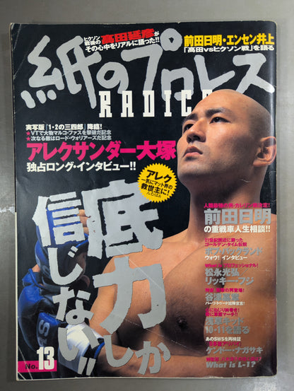 paper Pro Wrestling RADICAL13
