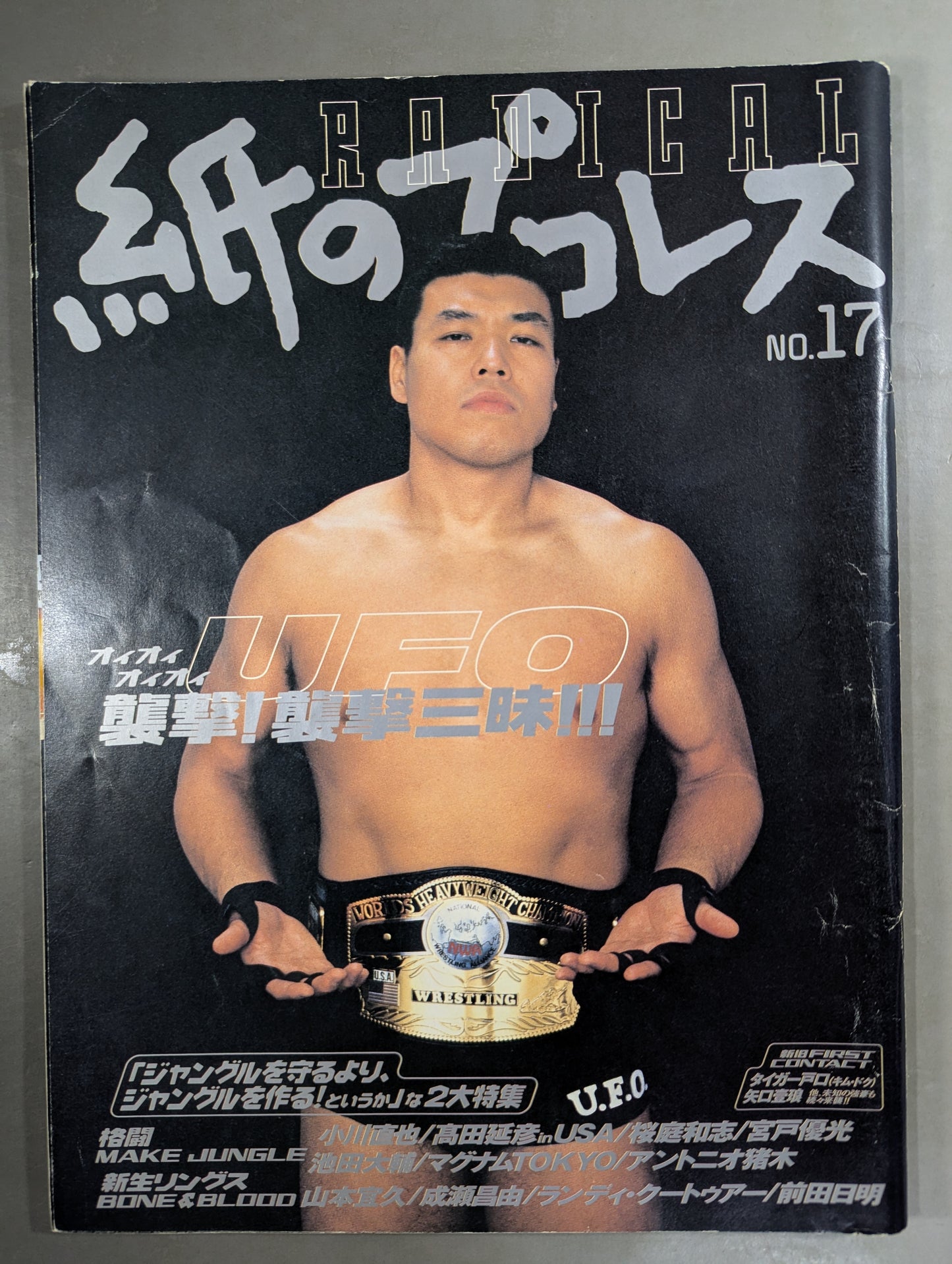 paper Pro Wrestling RADICAL17