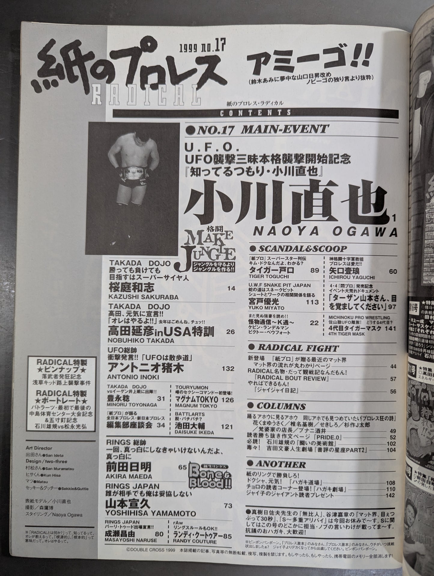 paper Pro Wrestling RADICAL17