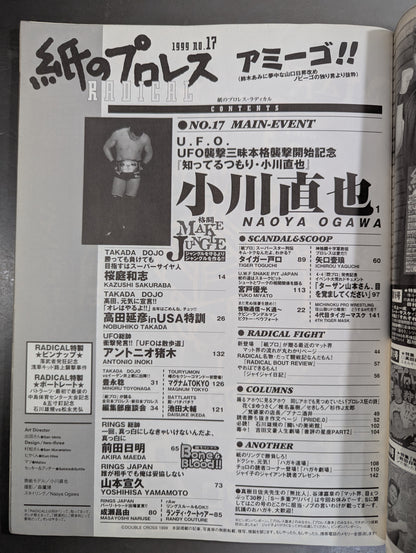 paper Pro Wrestling RADICAL17