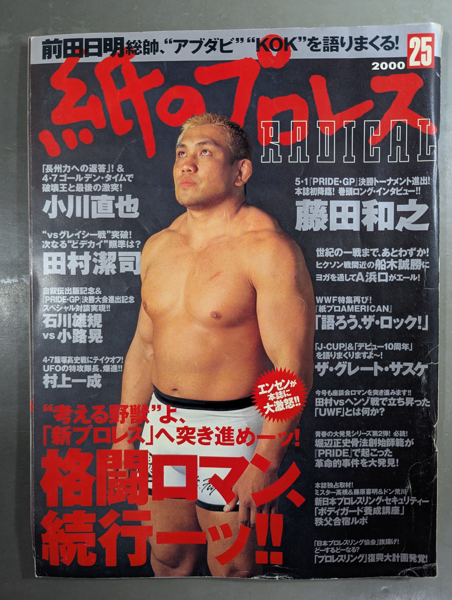 paper Pro Wrestling RADICAL25