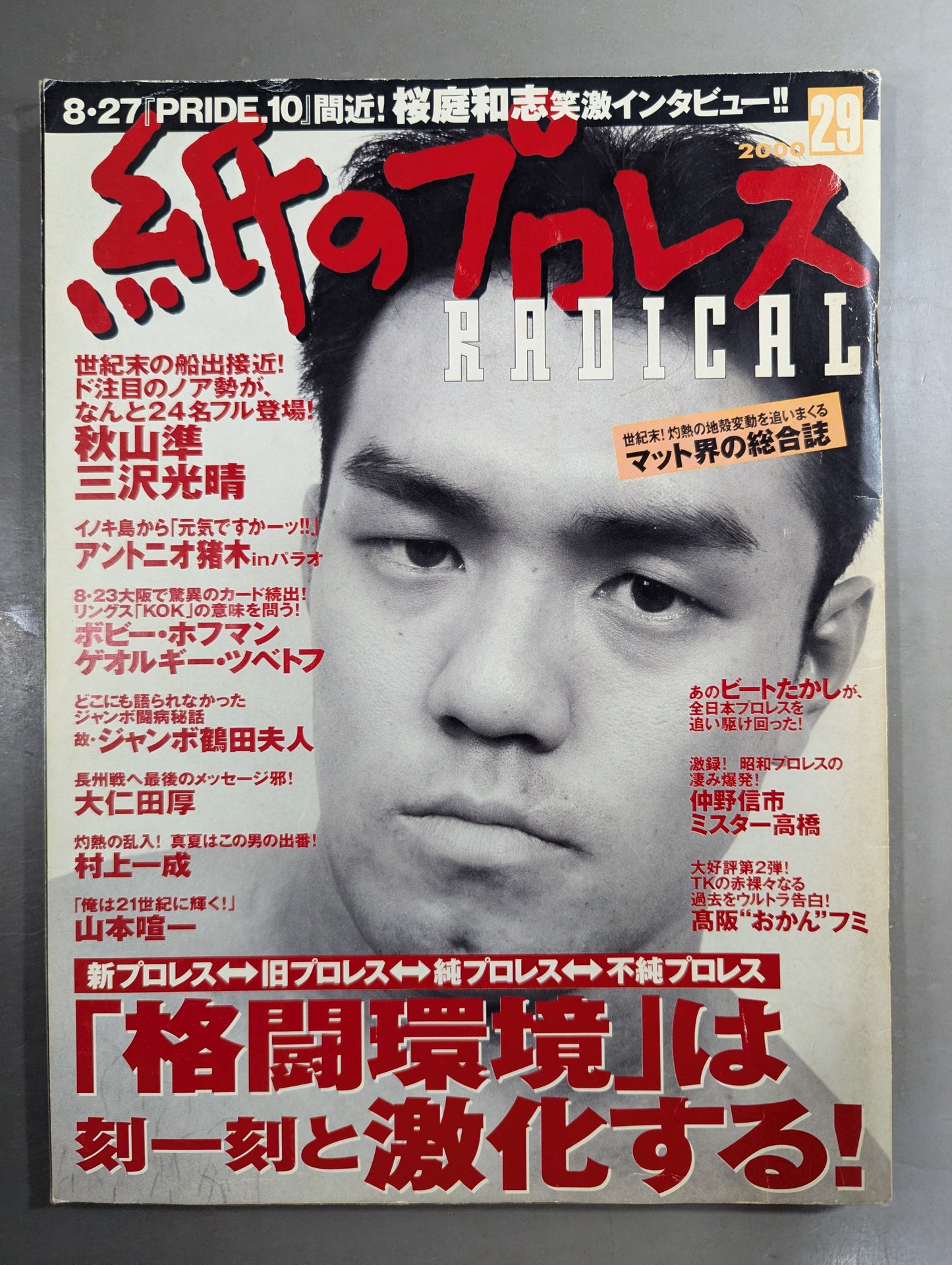 paper Pro Wrestling RADICAL29