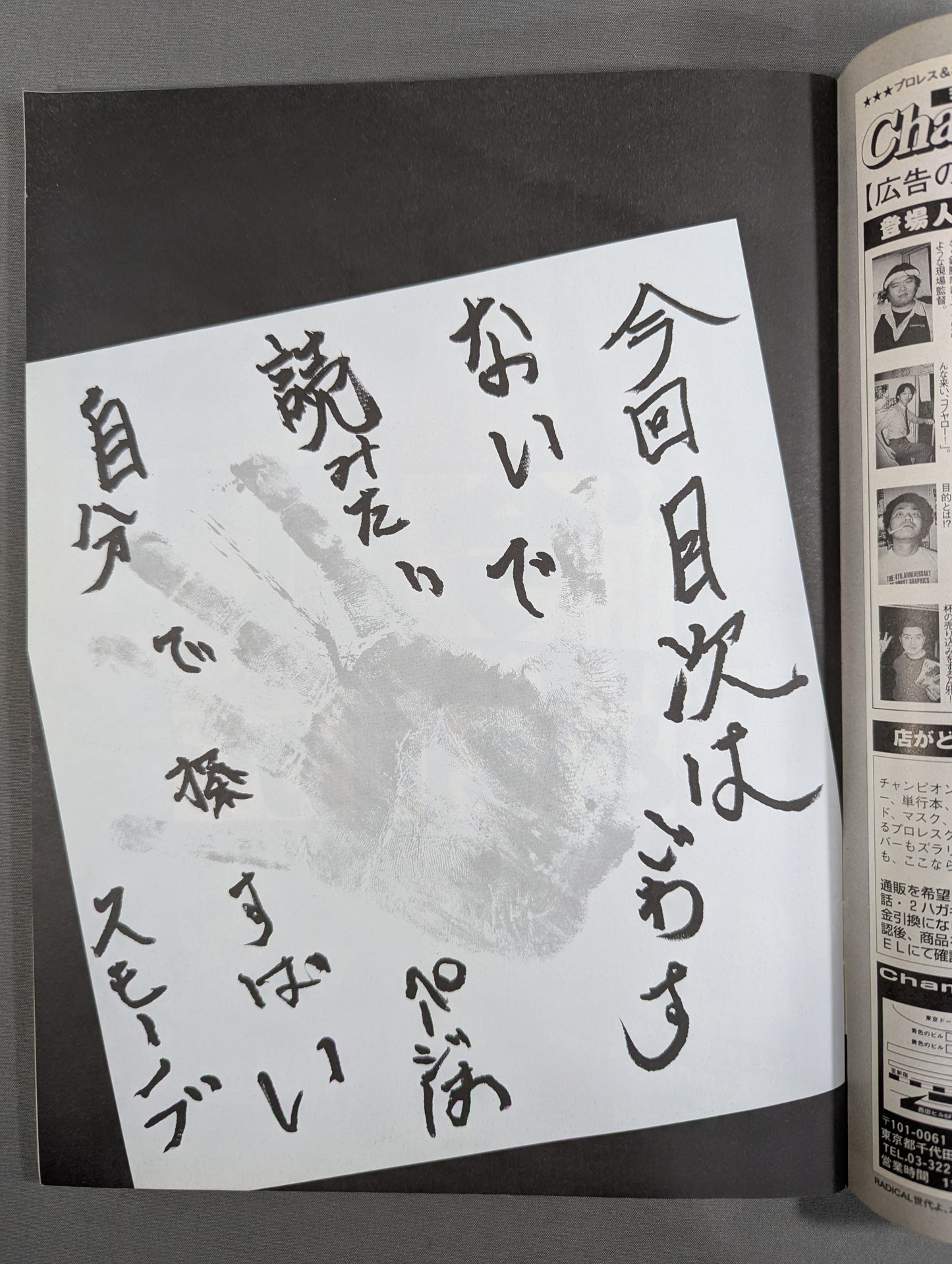 paper Pro Wrestling RADICAL29