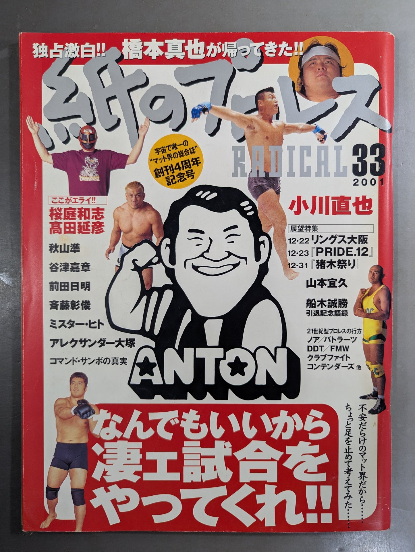 paper Pro Wrestling RADICAL33
