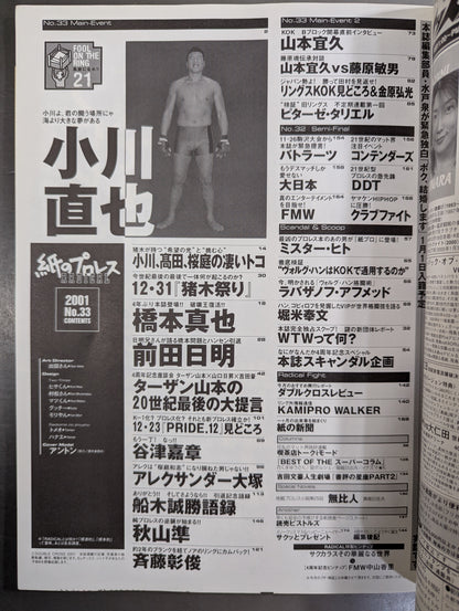 paper Pro Wrestling RADICAL33