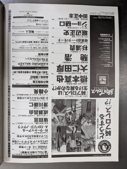 Paper Pro Wrestling RADICAL35