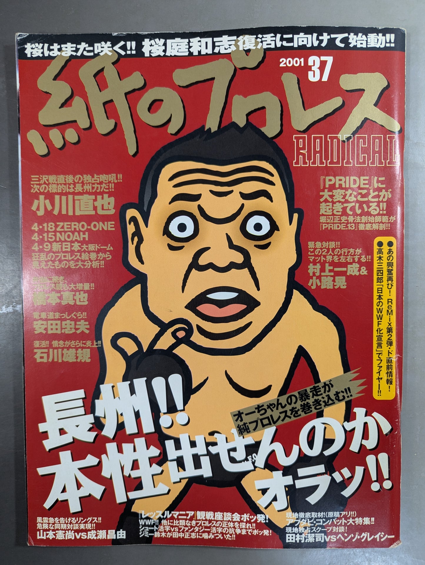 paper Pro Wrestling RADICAL37