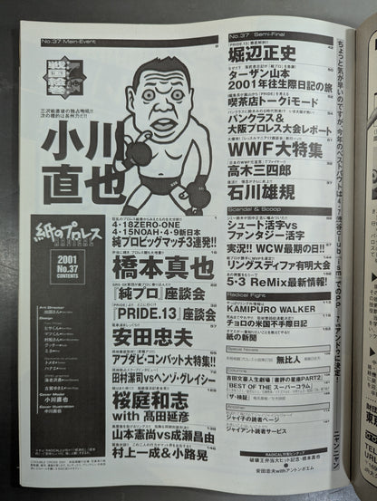 paper Pro Wrestling RADICAL37
