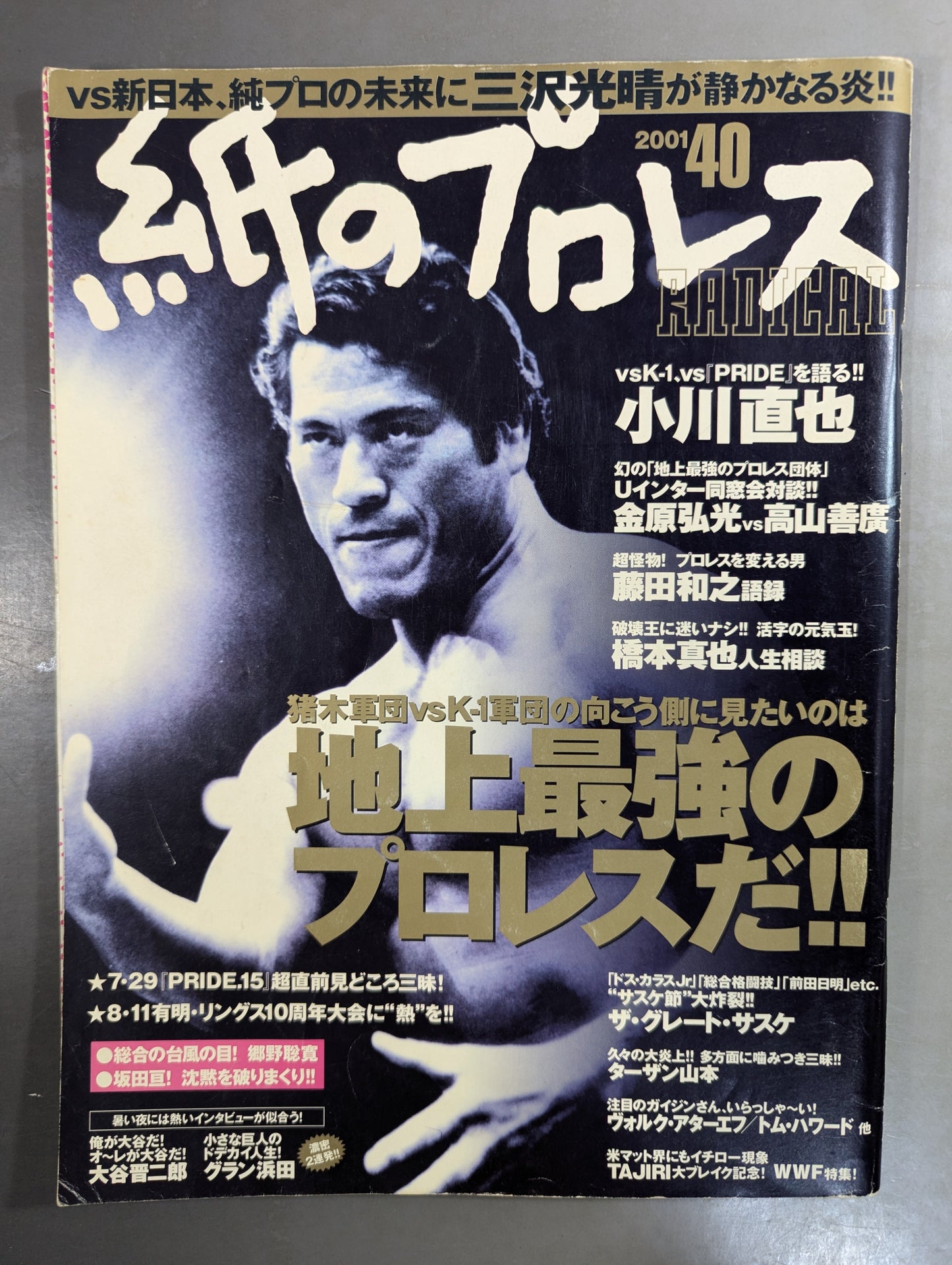 paper Pro Wrestling RADICAL40
