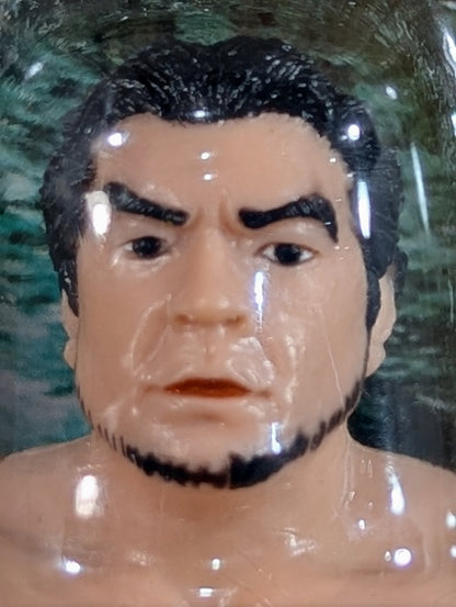 Mitsuharu Misawa  (beard)