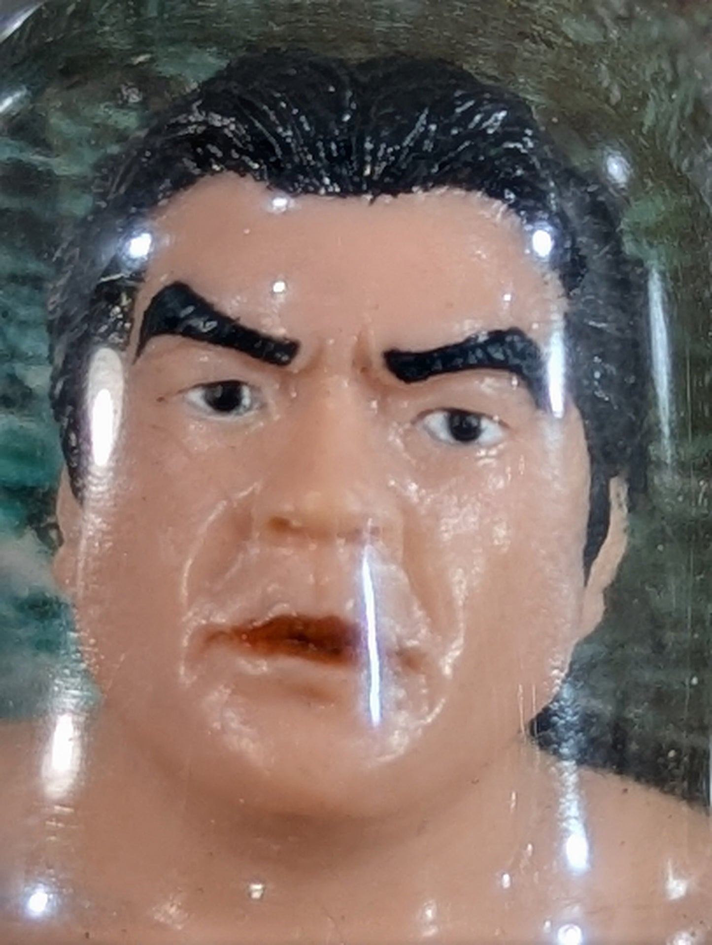 Mitsuharu Misawa  (without a beard)