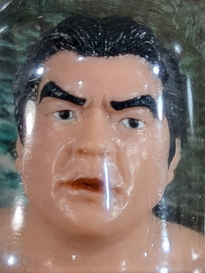 Mitsuharu Misawa  (without a beard)