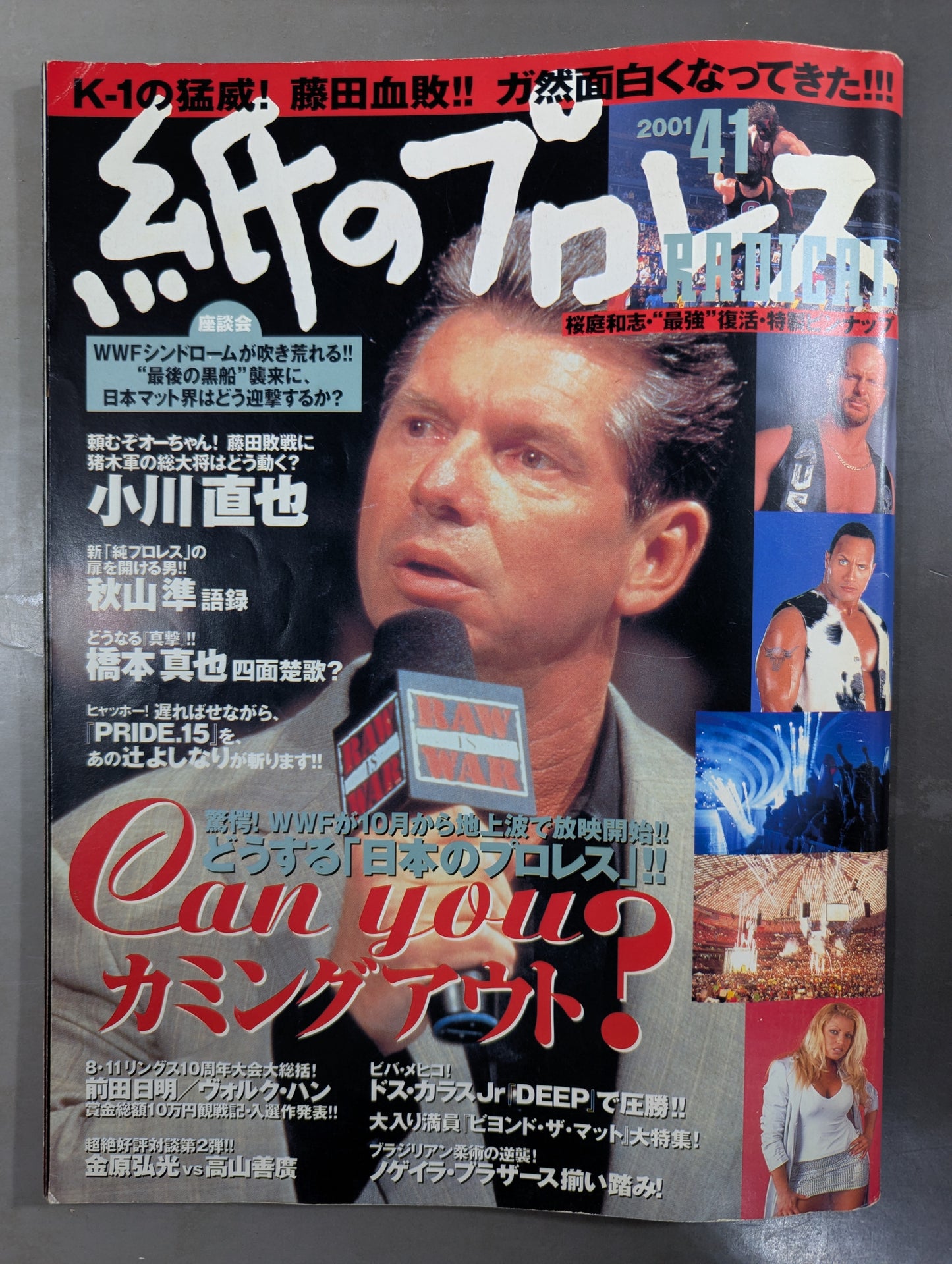Paper Pro Wrestling RADICAL41