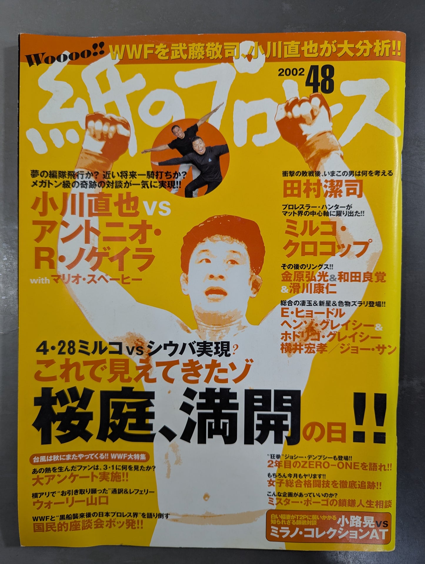 Paper Pro Wrestling RADICAL48