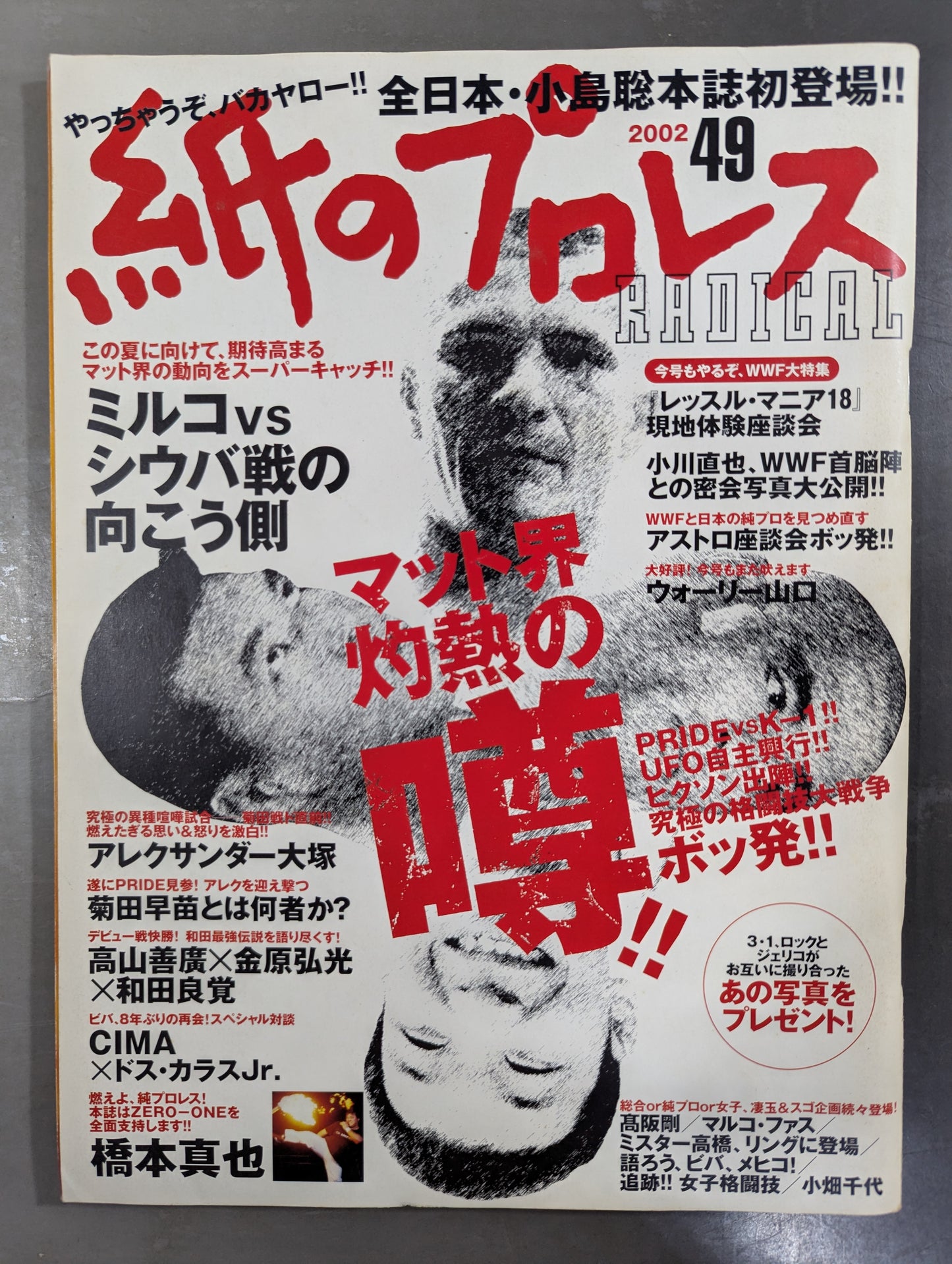 paper Pro Wrestling RADICAL49