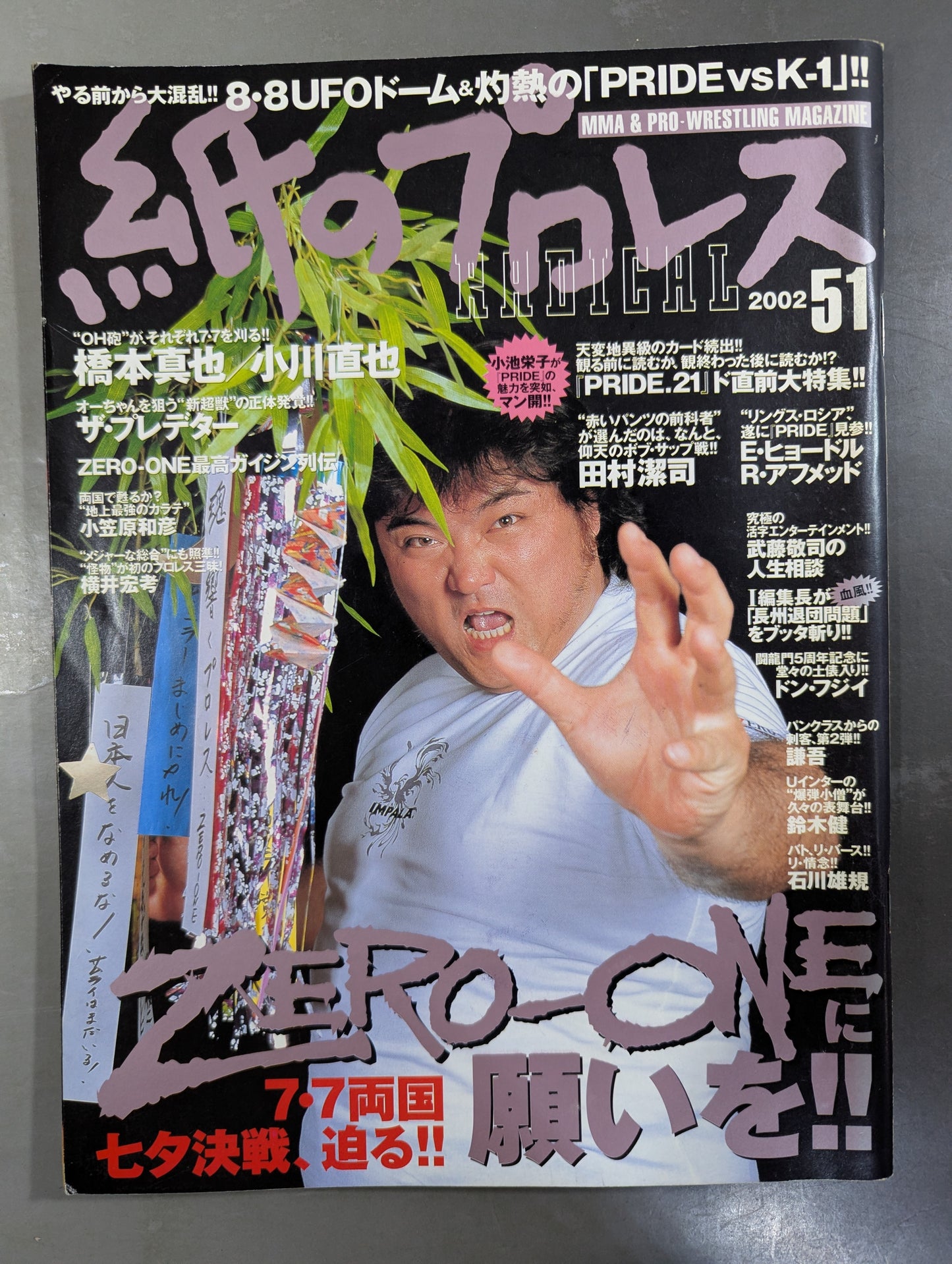 paper Pro Wrestling RADICAL51