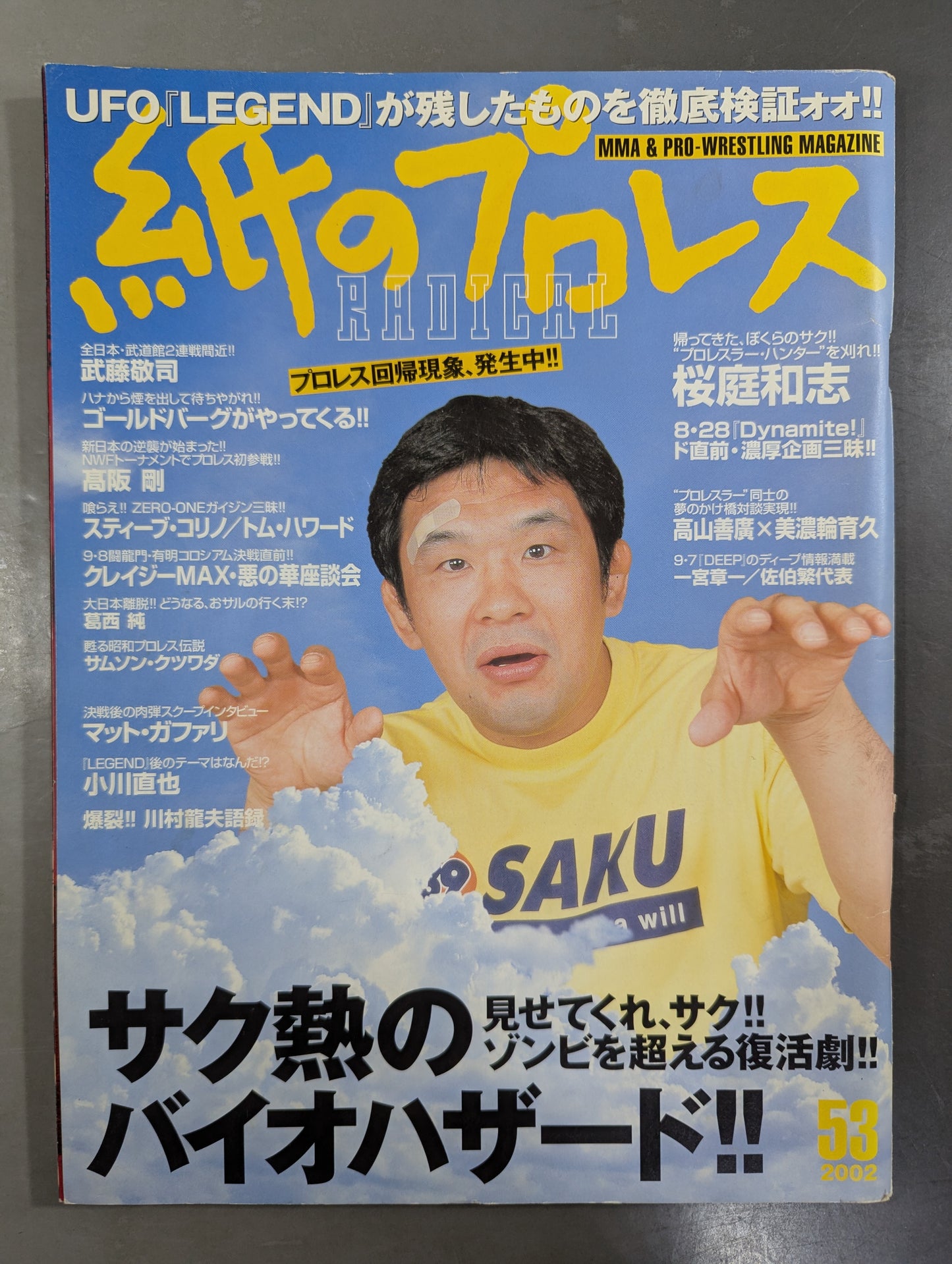 paper Pro Wrestling RADICAL53