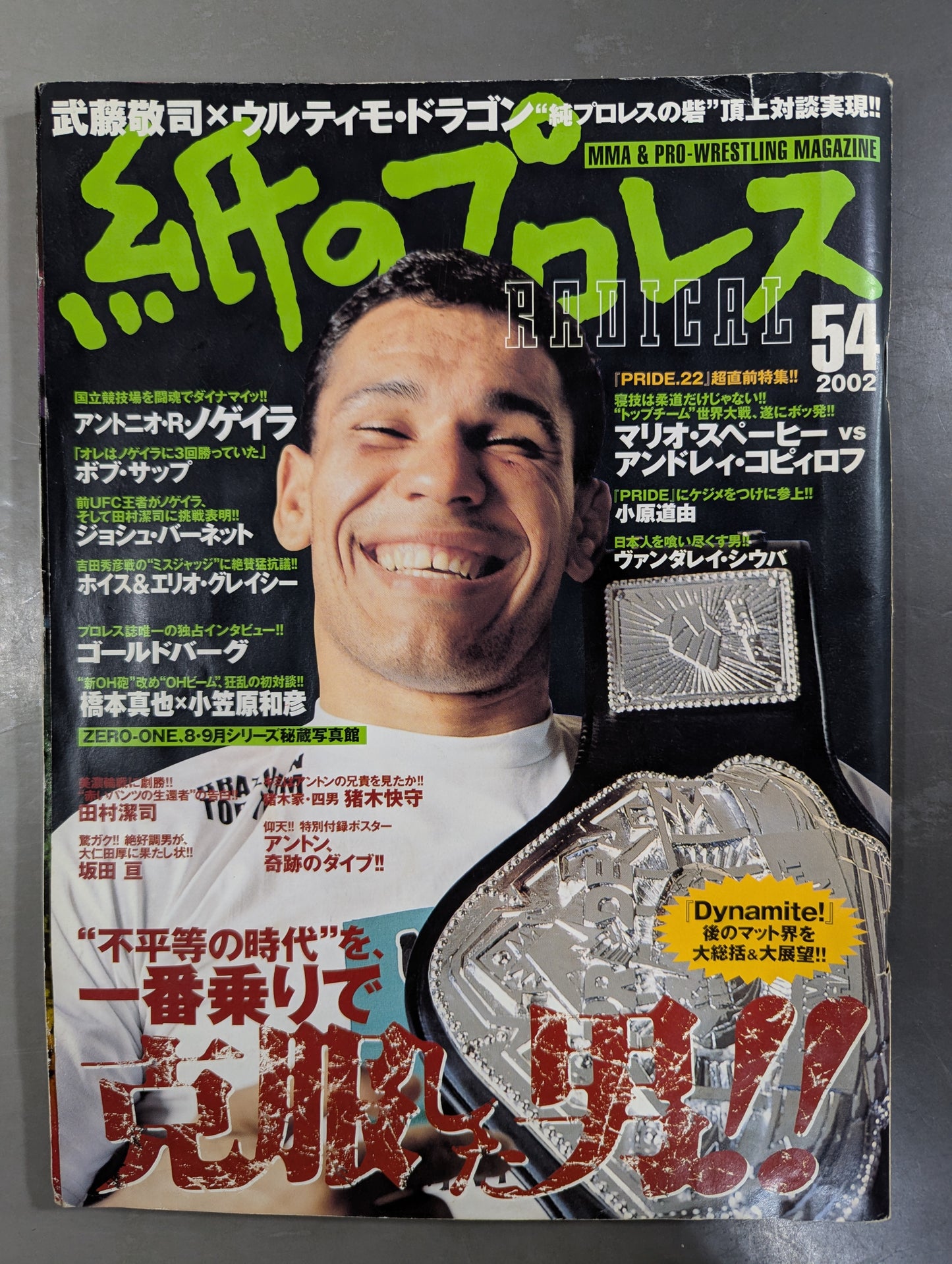 paper Pro Wrestling RADICAL54