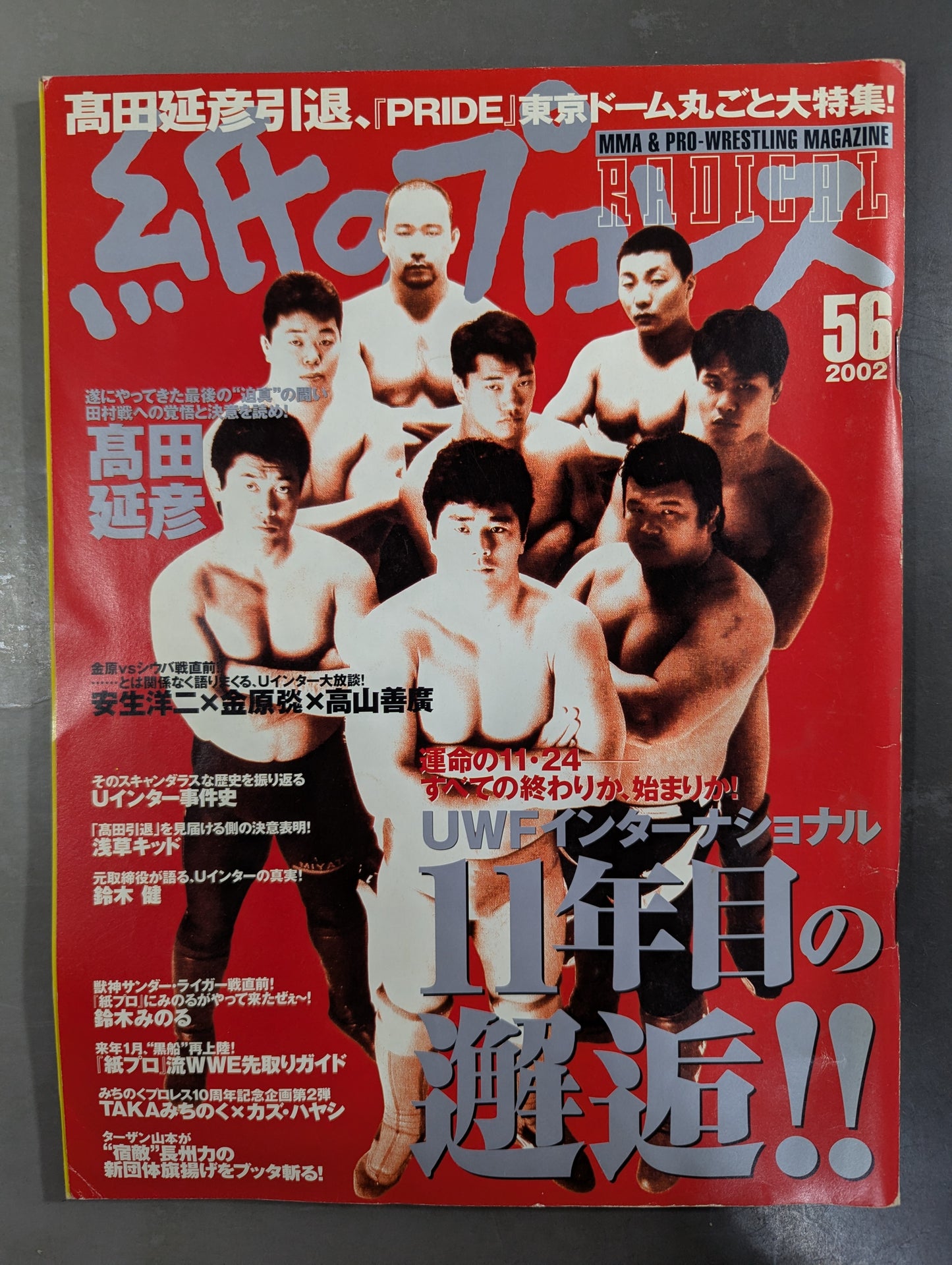 paper Pro Wrestling RADICAL56