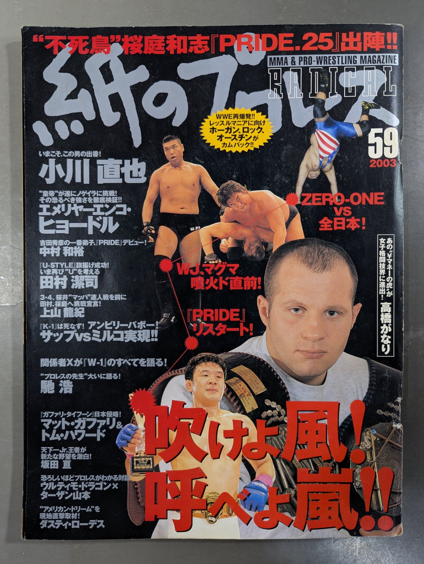 paper Pro Wrestling RADICAL59
