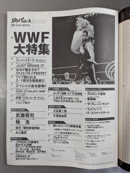 paper Pro Wrestling RADICAL47