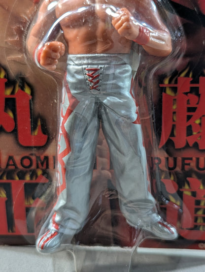 Naomichi Marufuji  (silver tights)