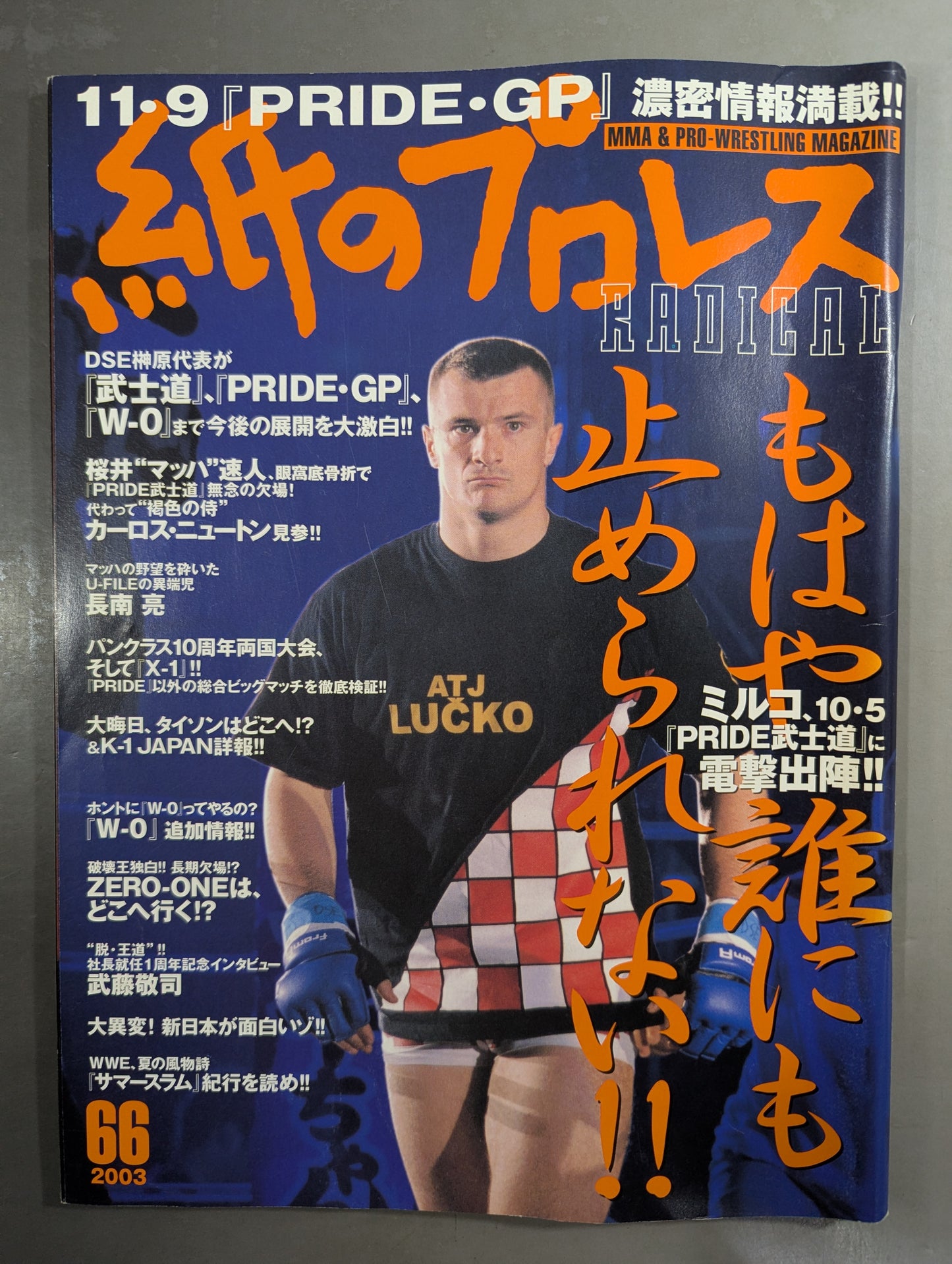 paper Pro Wrestling RADICAL66