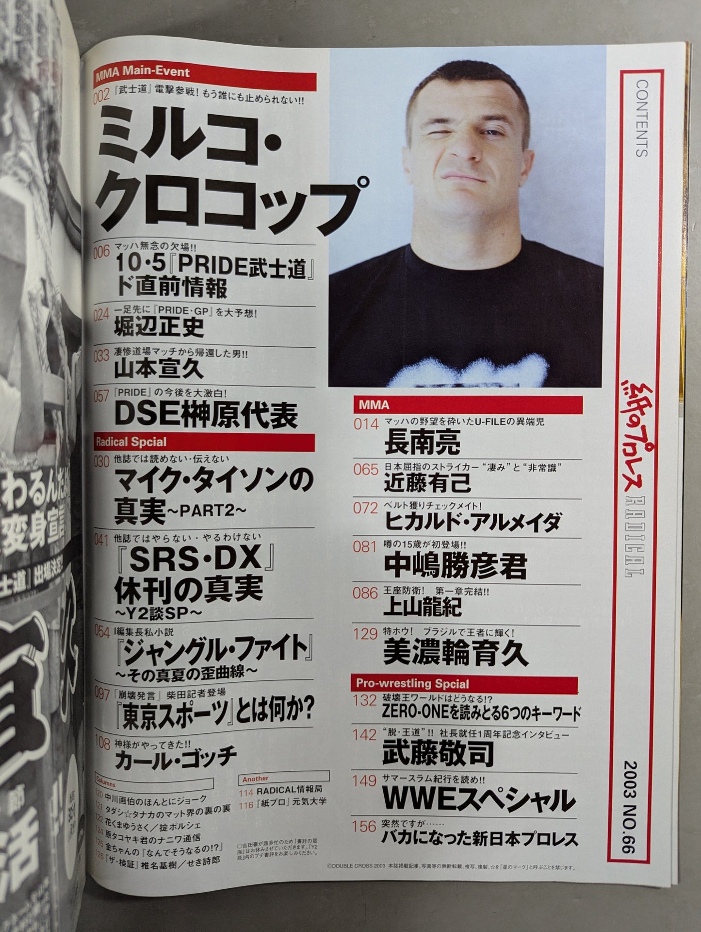 paper Pro Wrestling RADICAL66