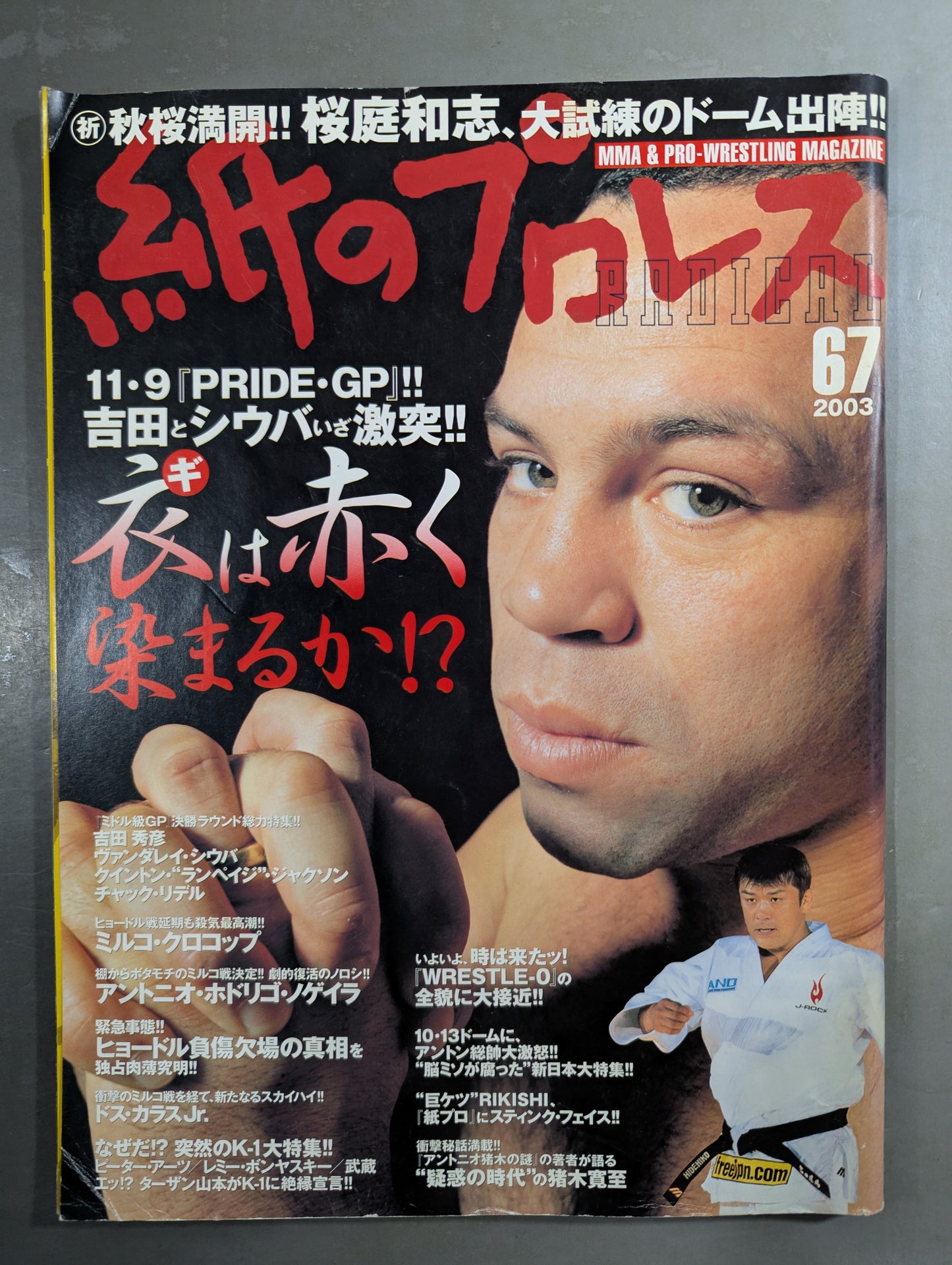 paper Pro Wrestling RADICAL67