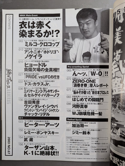 paper Pro Wrestling RADICAL67