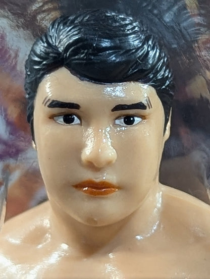 Satoru Sayama  (Super Tiger & The Tiger)